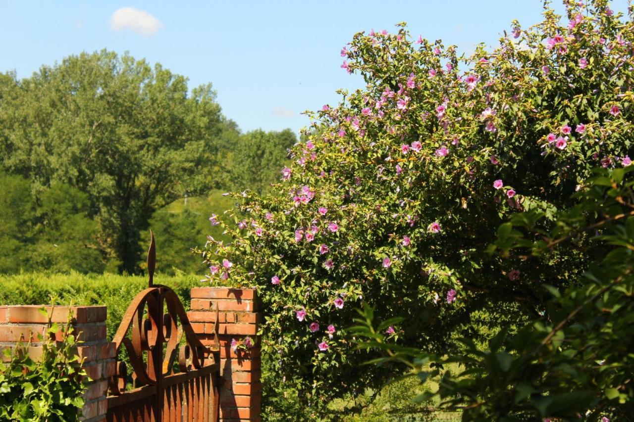 Il Casolare Bed & Breakfast Penna Dış mekan fotoğraf