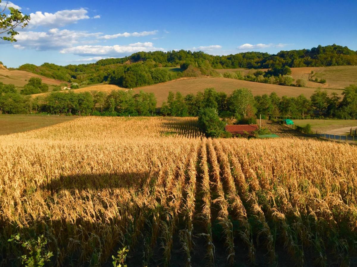 Il Casolare Bed & Breakfast Penna Dış mekan fotoğraf