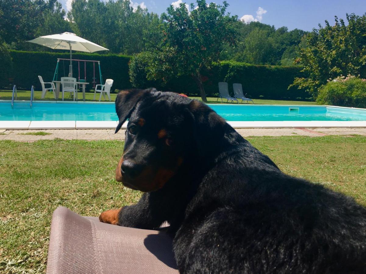 Il Casolare Bed & Breakfast Penna Dış mekan fotoğraf