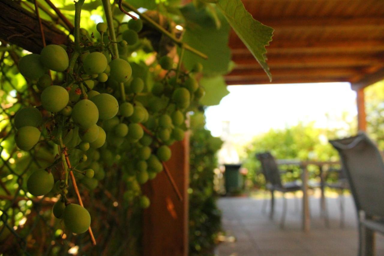 Il Casolare Bed & Breakfast Penna Dış mekan fotoğraf