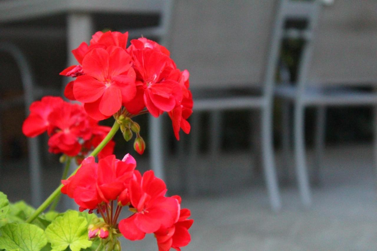 Il Casolare Bed & Breakfast Penna Dış mekan fotoğraf