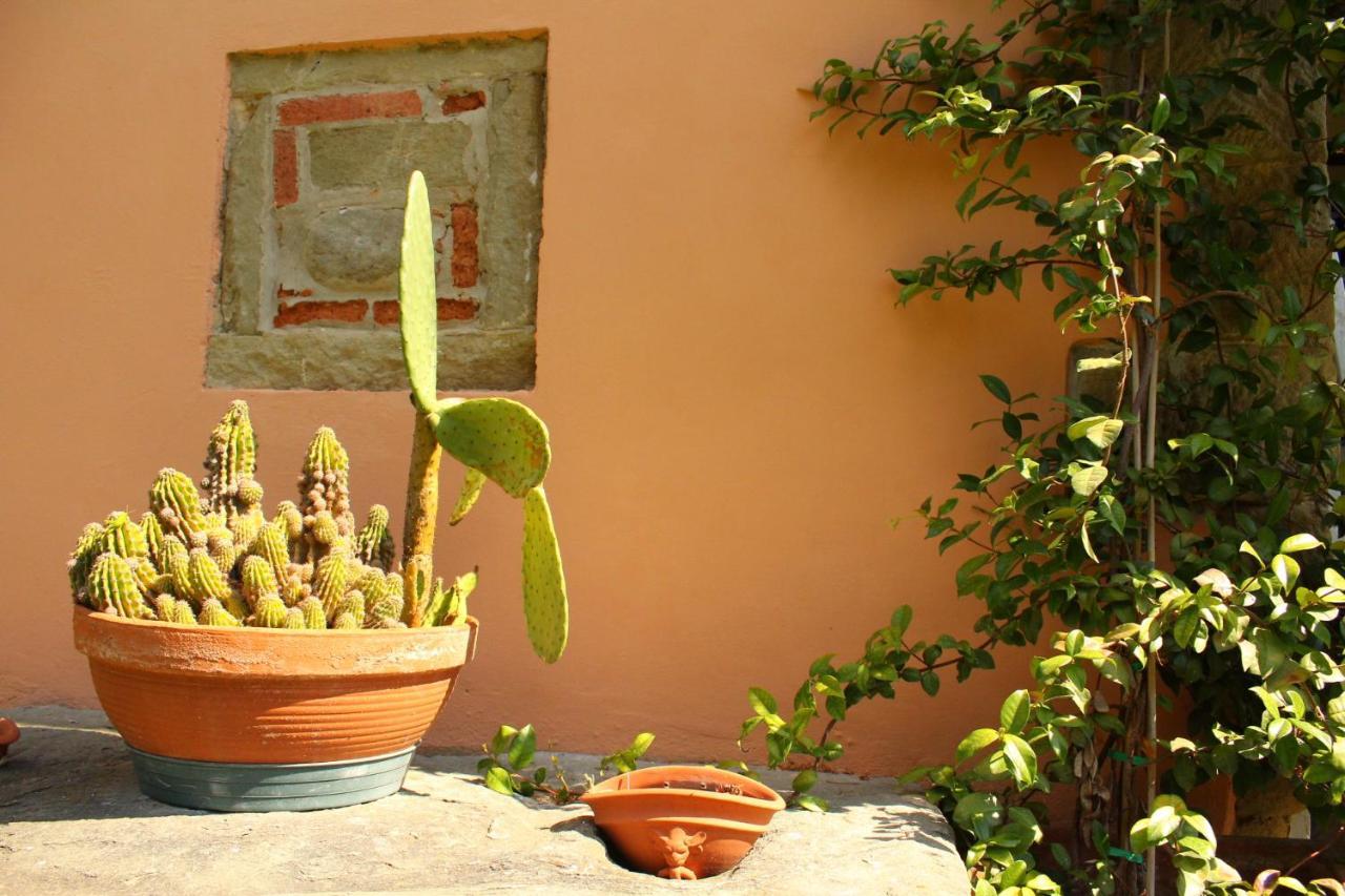 Il Casolare Bed & Breakfast Penna Dış mekan fotoğraf